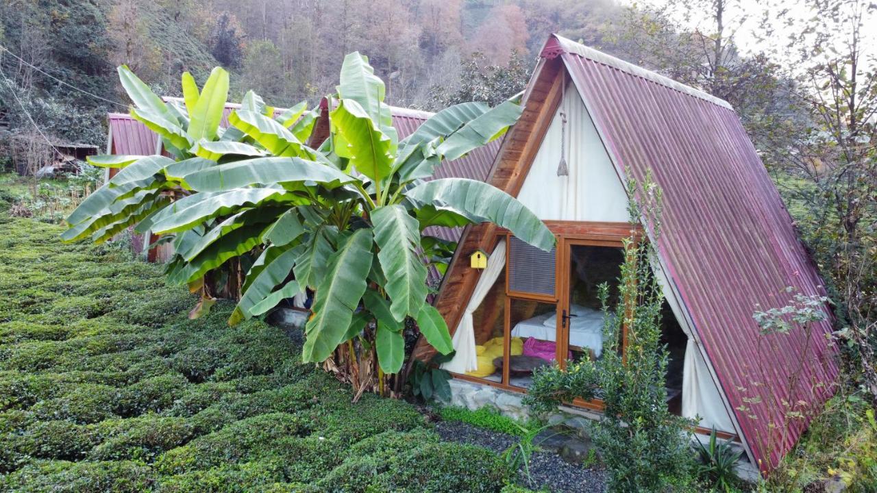 Tabiat Bungalows Otel Çamlıhemşin Kültér fotó