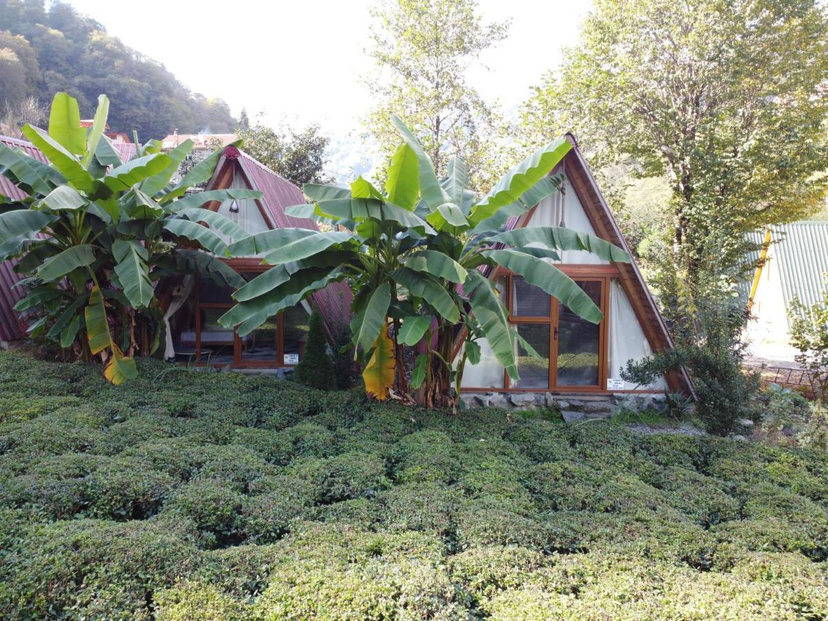 Tabiat Bungalows Otel Çamlıhemşin Kültér fotó