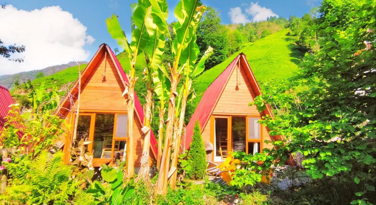 Tabiat Bungalows Otel Çamlıhemşin Kültér fotó