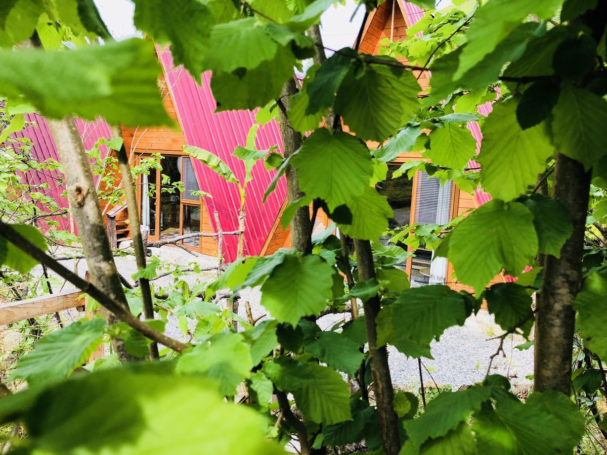 Tabiat Bungalows Otel Çamlıhemşin Kültér fotó